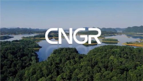 ESG | 中偉，為構建“可充電的世界”盡責